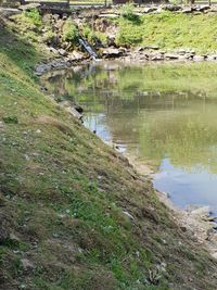 Scenic view of lake