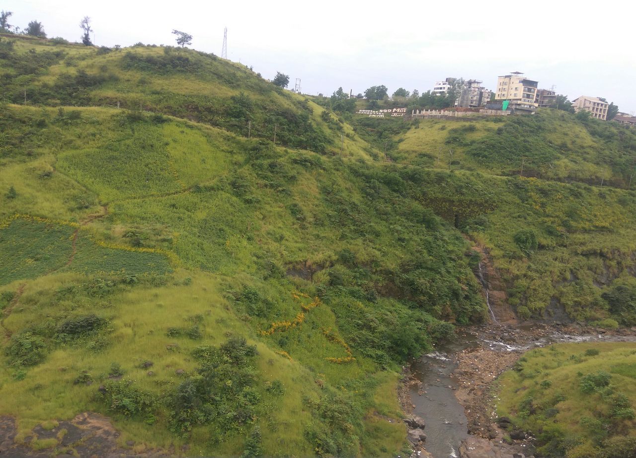 SCENIC VIEW OF GREEN LANDSCAPE