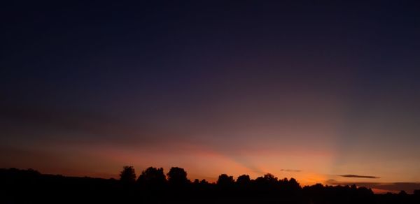 Silhouette trees against sky during sunset