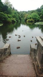 Scenic view of lake