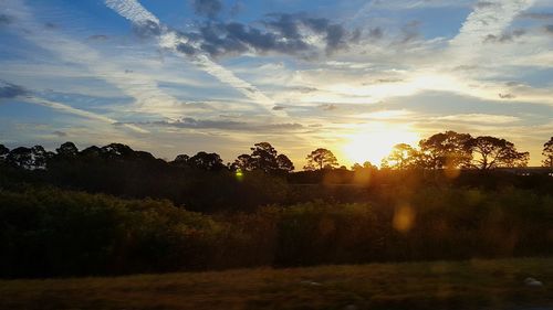 Silhouette trees on landscape against sky during sunset