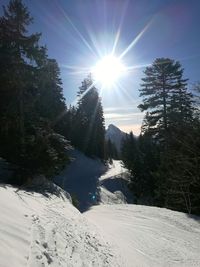 Sun shining over snow covered mountain