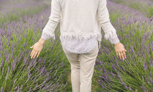 Midsection of woman walking in lavender field