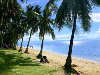 Palm trees on beach against sea