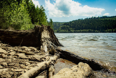 Scenic view of waterfall in forest against sky