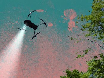High angle view of birds flying