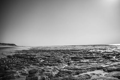 Scenic view of sea against clear sky