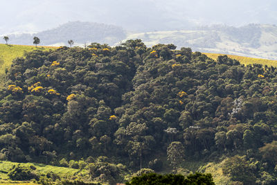 High angle view of trees and mountains against sky