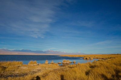 Scenic view of beach against sky