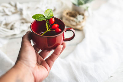 Midsection of person holding red fruit