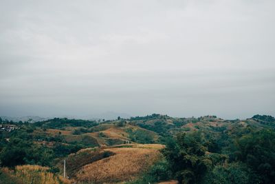 Scenic view of landscape against sky