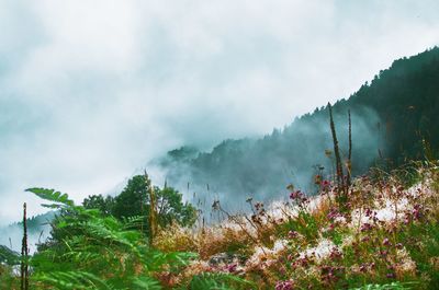 Scenic view of mountains against sky