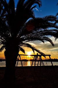 Palm trees at sunset