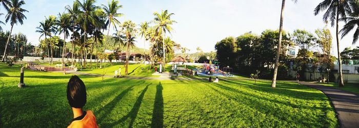 Panoramic view of palm trees on field against sky