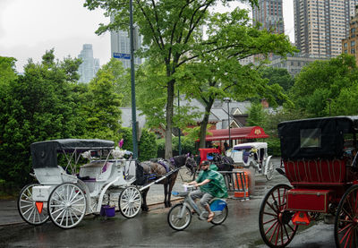 transportation