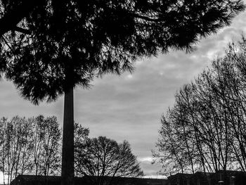 Low angle view of bare tree against cloudy sky