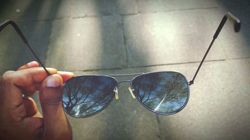 Cropped hand holding sunglasses with tree reflection