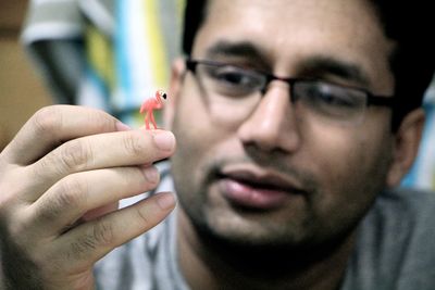 Close-up of man holding tiny flamingo toy