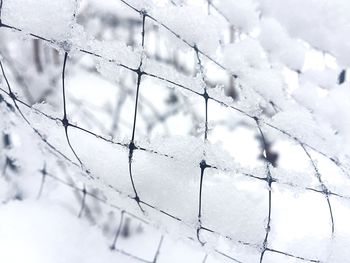 Close-up of snow covered fence