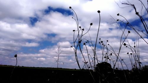 View of field against cloudy sky