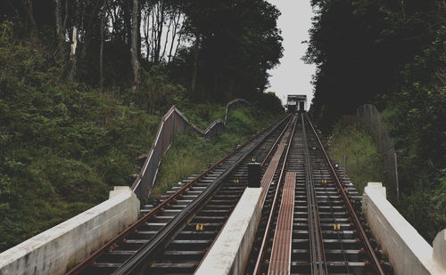 Railroad tracks amidst trees in forest