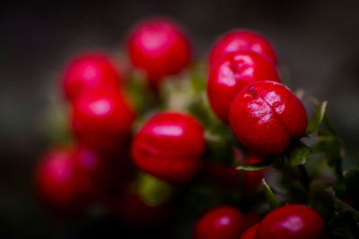 Close-up of strawberries