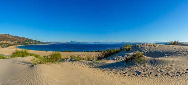 Scenic view of beach against clear blue sky