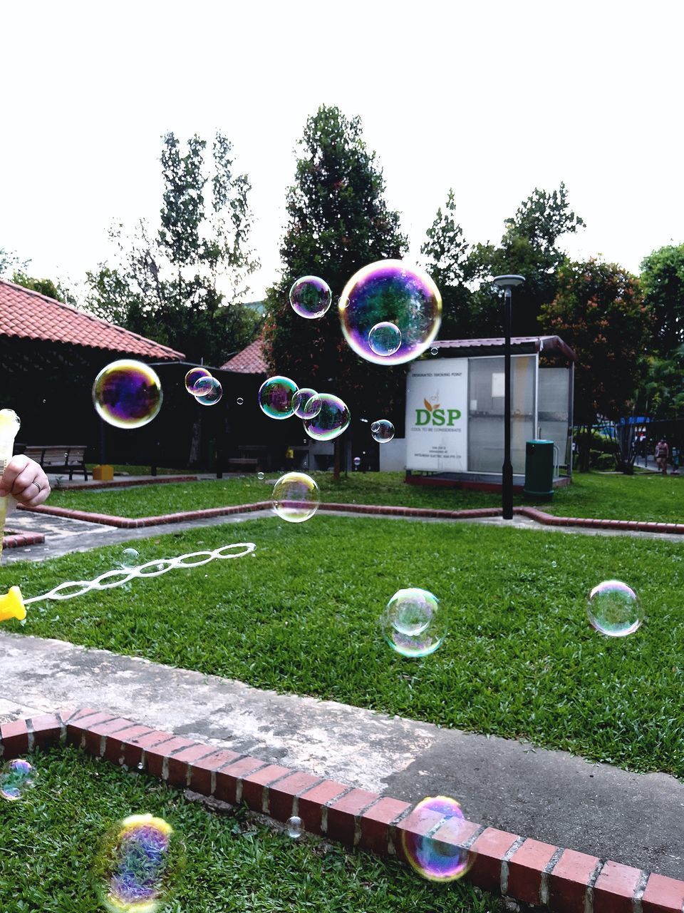 BUBBLES IN PARK