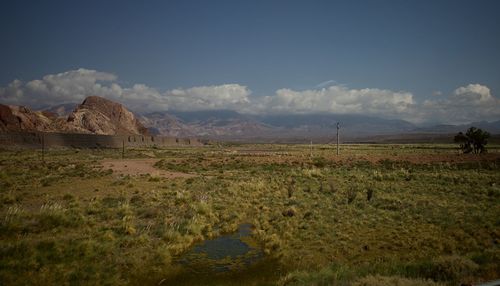 Scenic view of field against sky