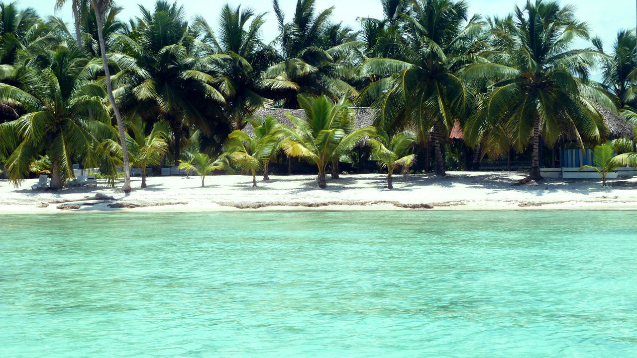 SCENIC VIEW OF SWIMMING POOL