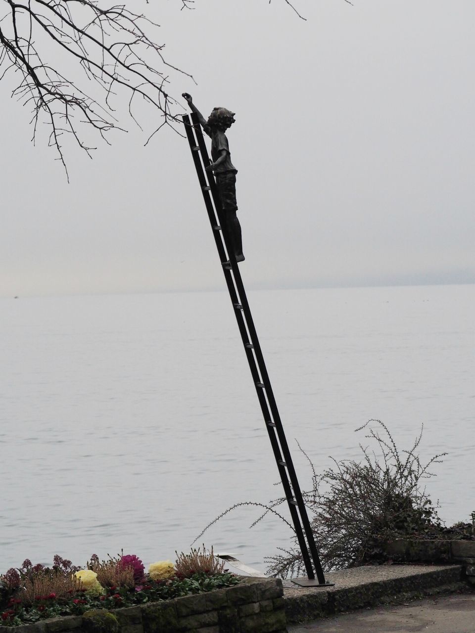 water, sea, clear sky, horizon over water, tranquility, copy space, nature, tranquil scene, street light, sky, tree, scenics, beach, day, shore, beauty in nature, outdoors, no people, pole, ocean