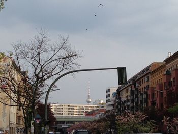 Buildings in city