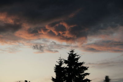 Low angle view of silhouette tree against sky during sunset