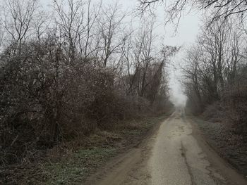 Road amidst trees in forest against sky