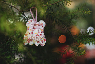 Close-up of christmas decoration hanging on tree