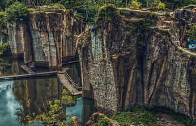 Horse by trees in water