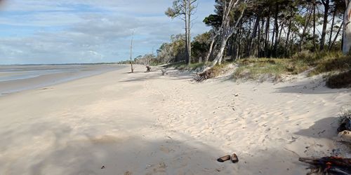 Scenic view of beach against sky