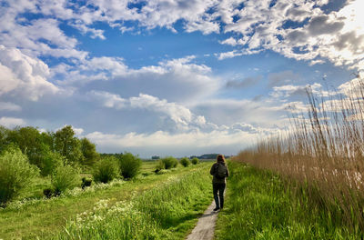 Rearview of woman walking over a flowered dike under blue sky with clouds
