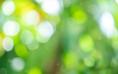 Full frame shot of defocused lights