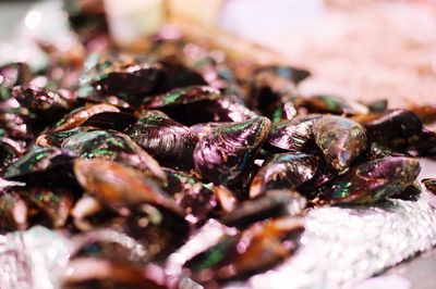 Close-up of fish for sale