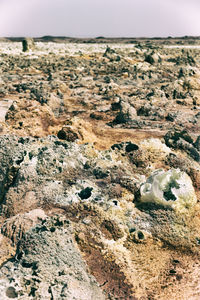 Close-up of rocks on beach