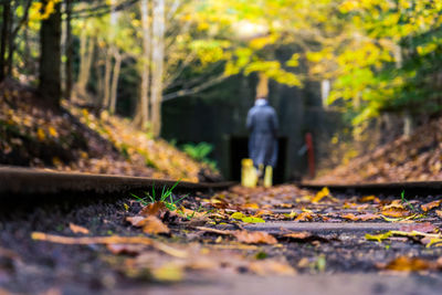 Rear view of man walking on leaves during autumn