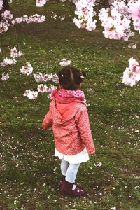 Rear view of girl standing on tree