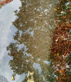 High angle view of puddle