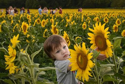 Rear view of child on sunflower field