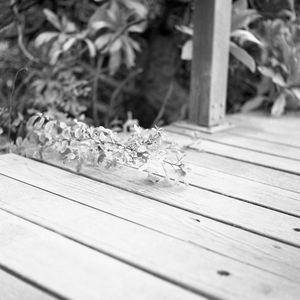 Close-up of wooden plank