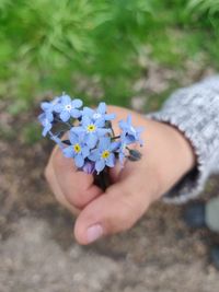 High angle view of hand holding flowering plant