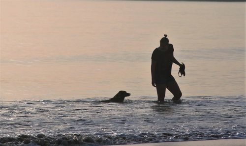 Woman looking at dog swimming in sea during sunset