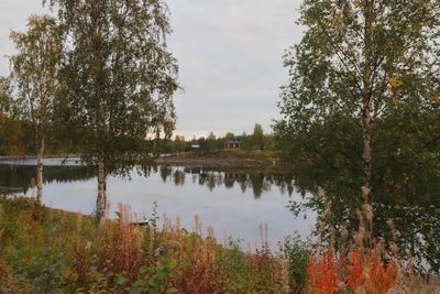 Scenic view of lake in forest against sky