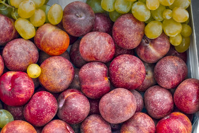 Full frame shot of apples